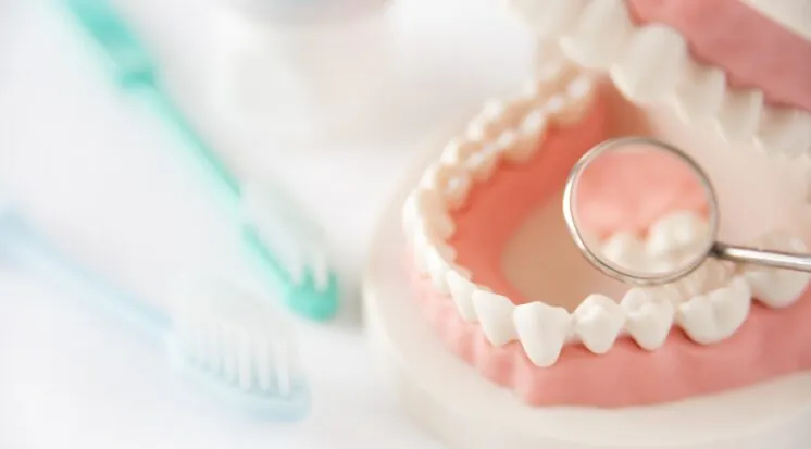 Prótese dentária total com escova e espelho clínico sobre fundo branco
